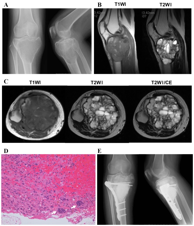 Figure 2.