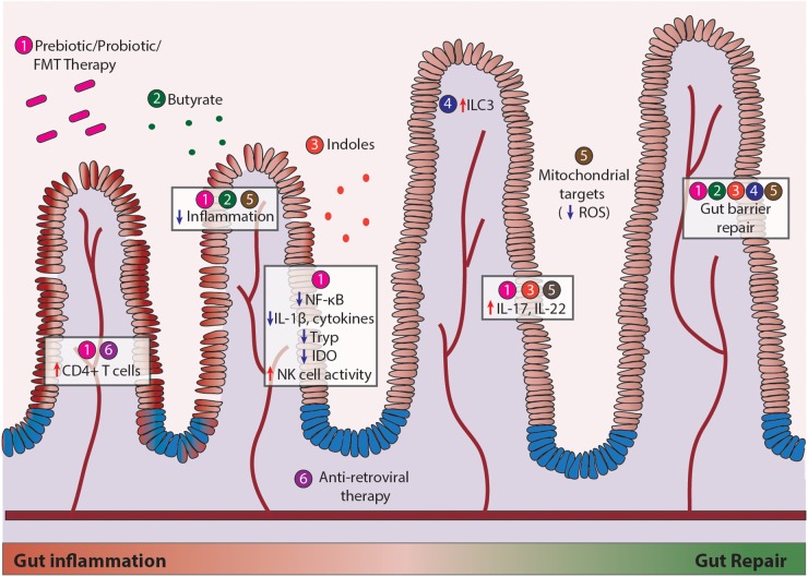 FIGURE 2