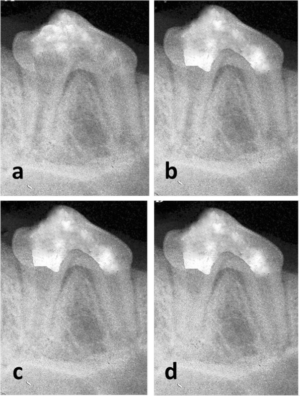 Fig. 2