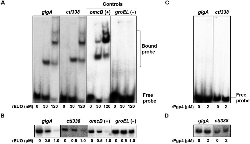 FIG 1