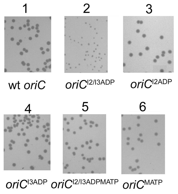 Figure 5