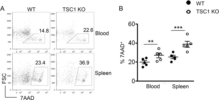 FIG 6