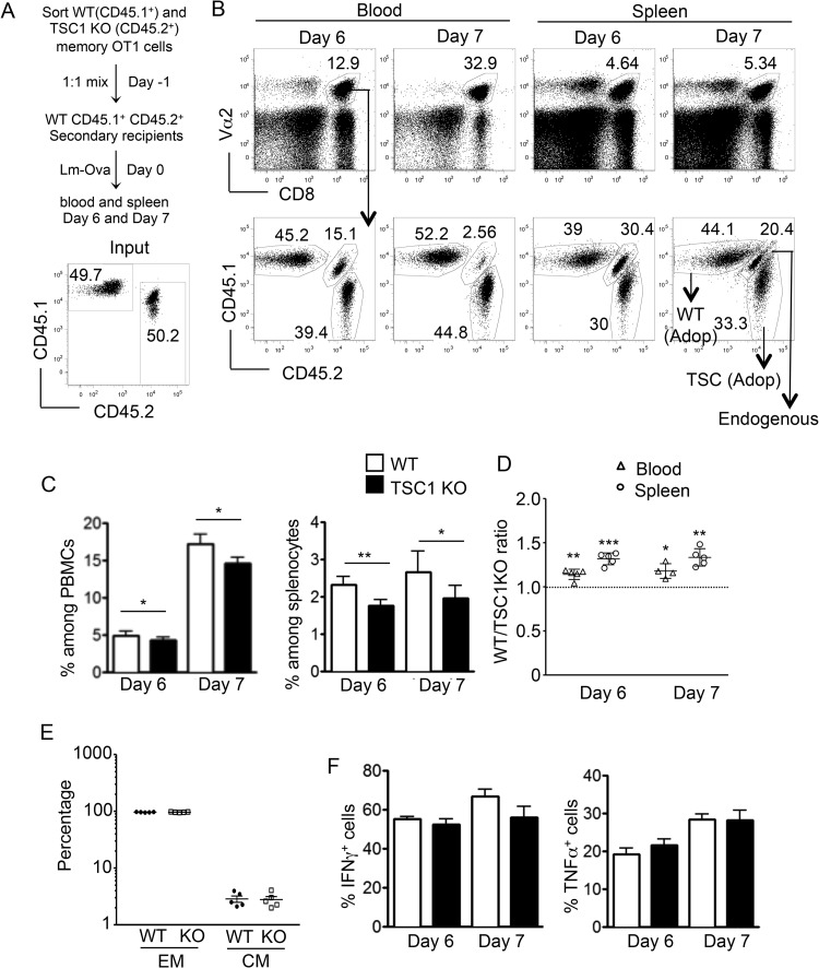 FIG 8