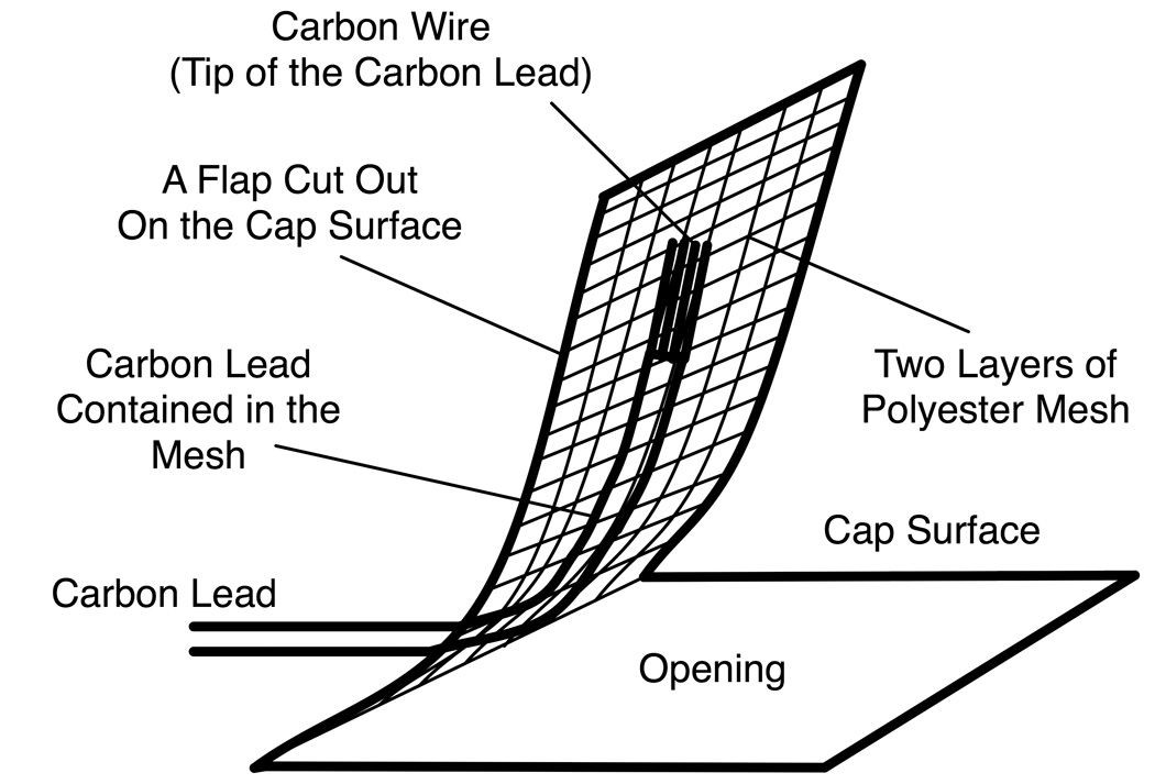 Fig. 2