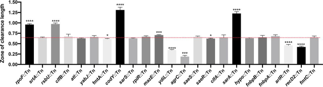 Figure 6