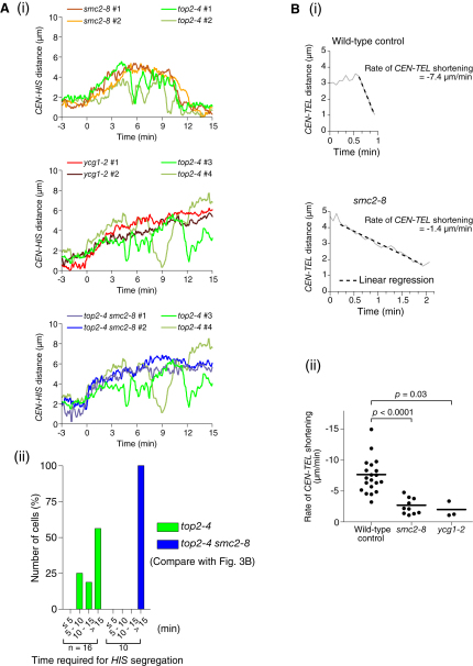 Figure 5