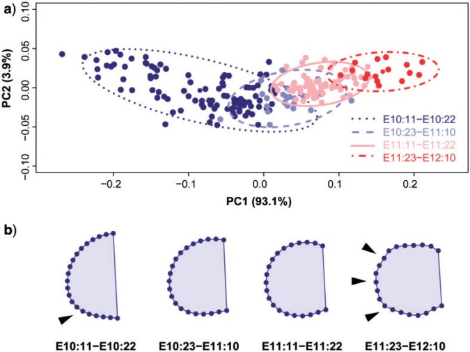 Figure 5.