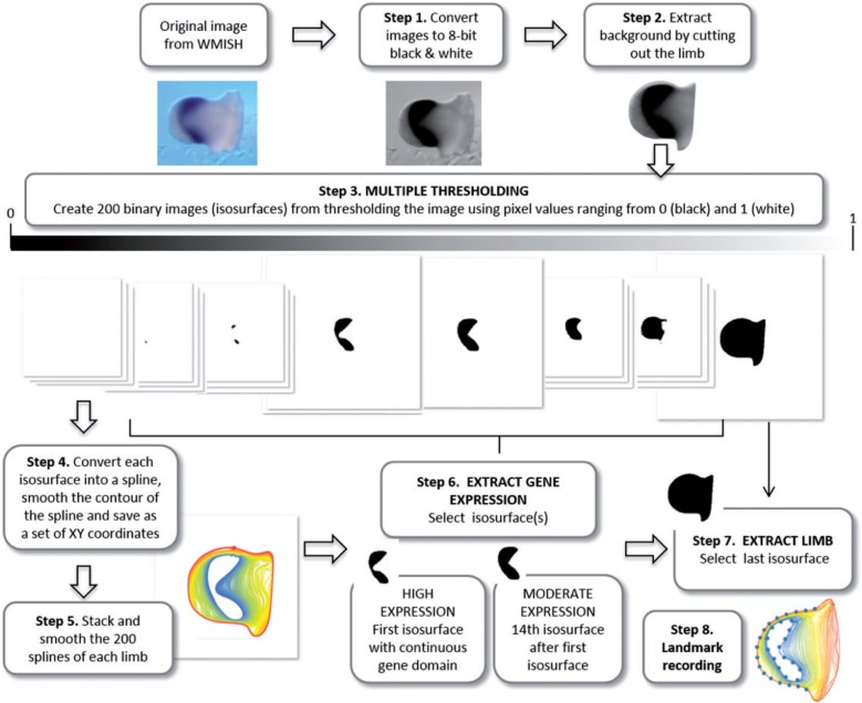 Figure 2.