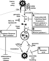 <b>FIG. 1.</b>