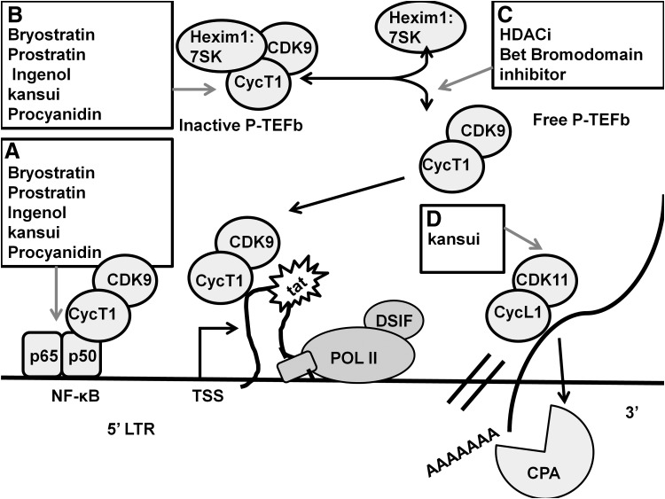 FIG. 2.