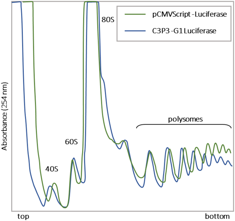 Figure 10.