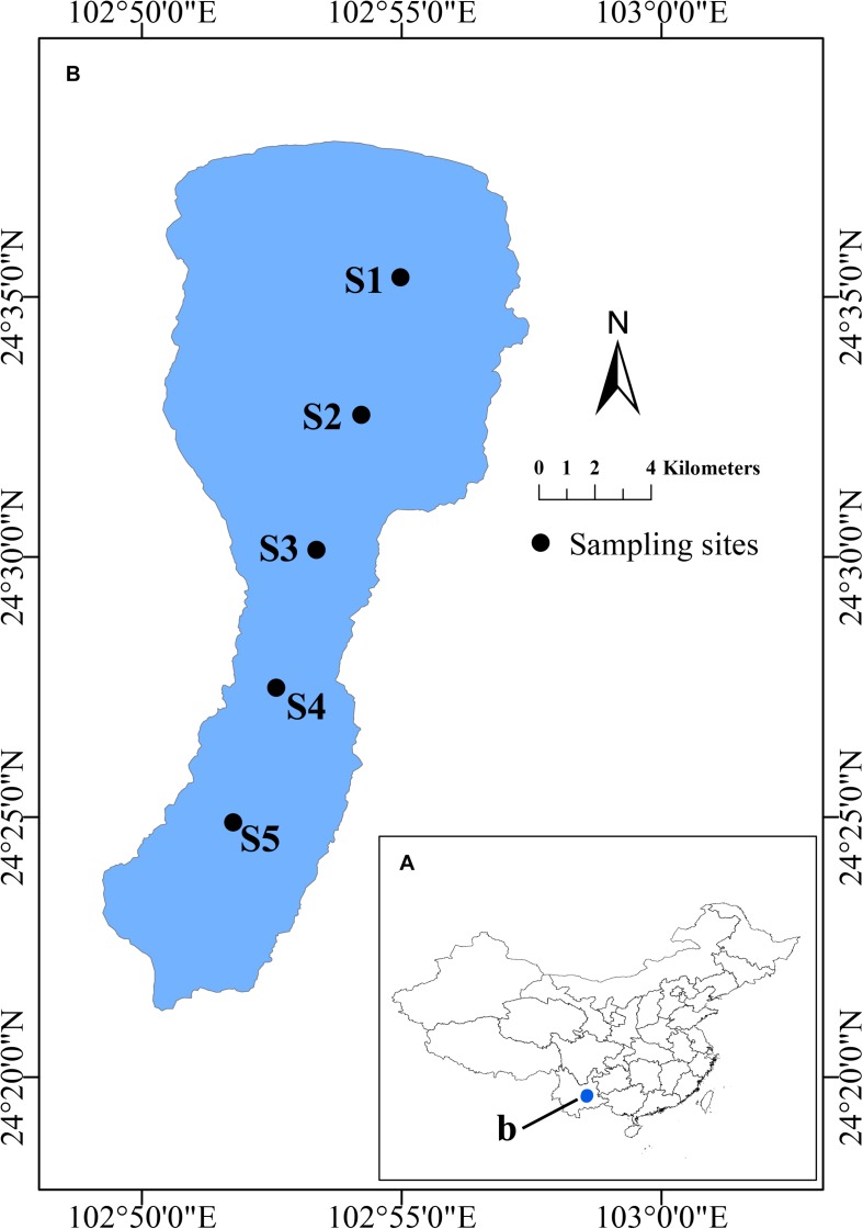 FIGURE 1