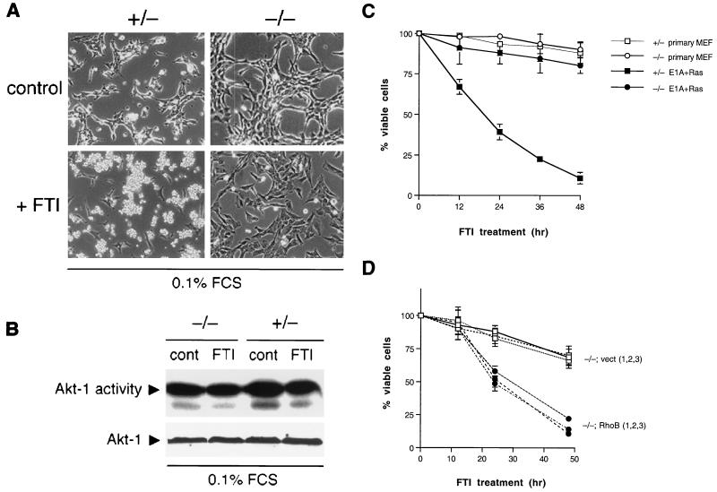 FIG. 7