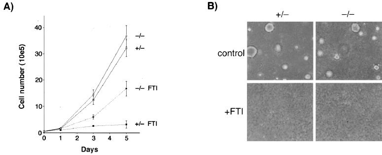 FIG. 6