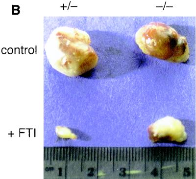 FIG. 8