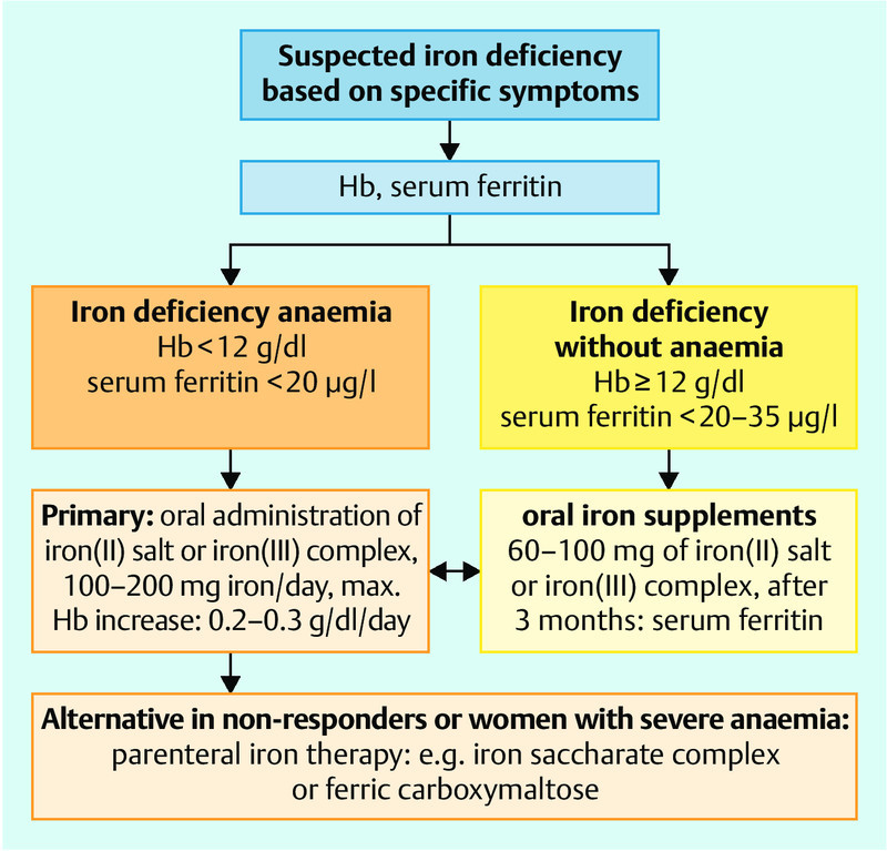 Fig. 1
