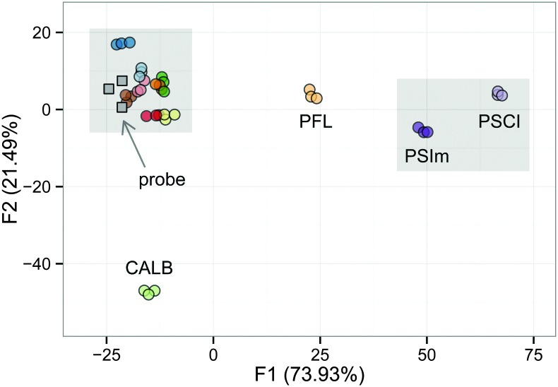 Fig. 2