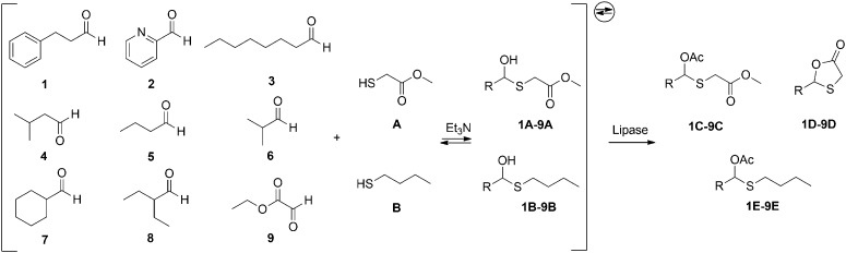 Scheme 2