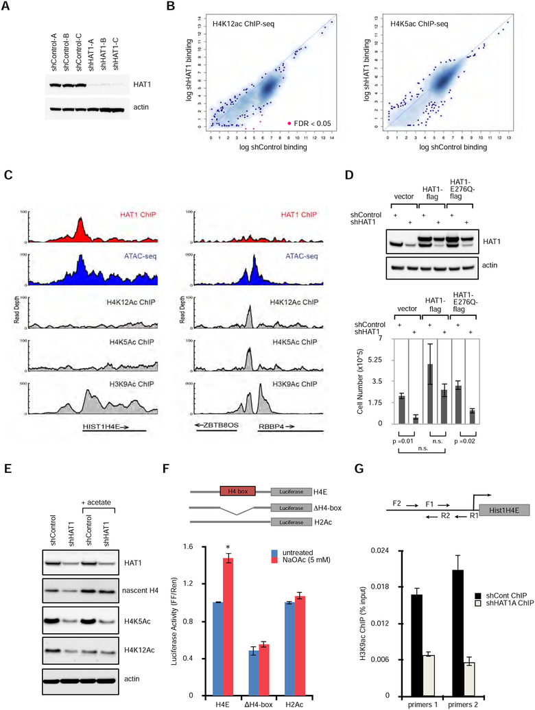 Figure 4: