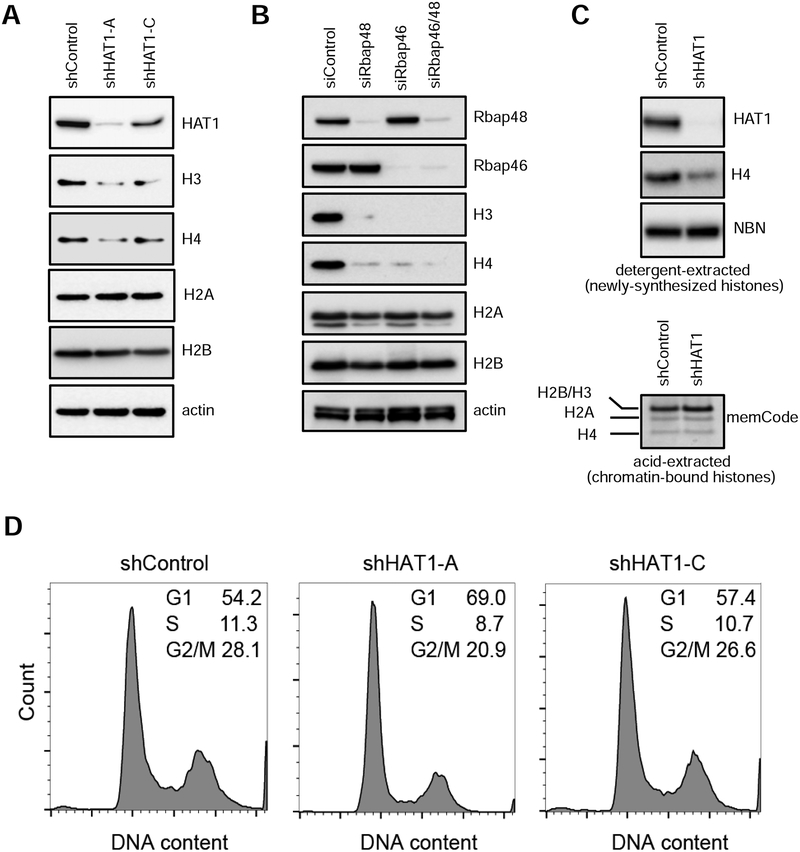 Figure 3: