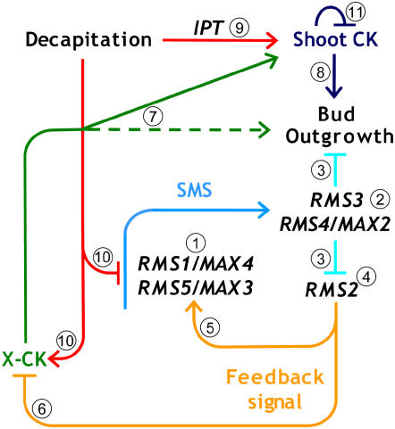 Figure 7.