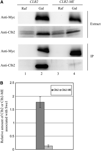 Figure 5.—