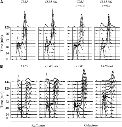 Figure 7.—