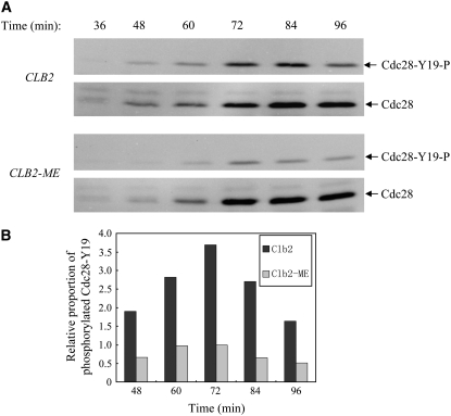 Figure 4.—