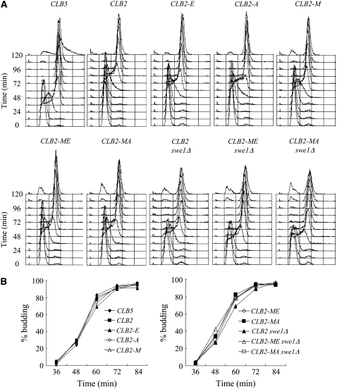 Figure 2.—