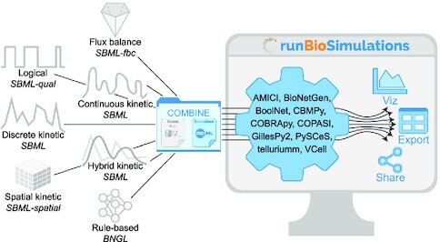 Graphical Abstract