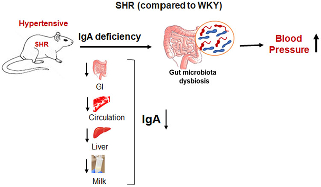 graphic file with name nihms-1825138-f0001.jpg