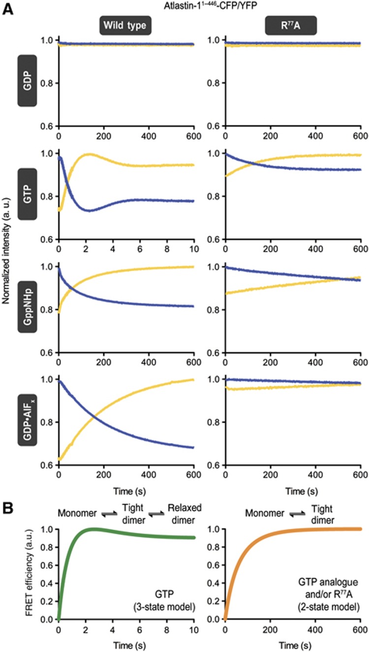 Figure 5