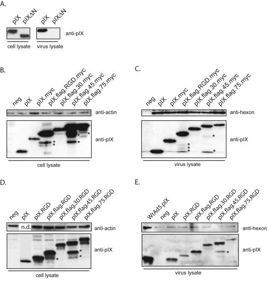 FIG. 3.