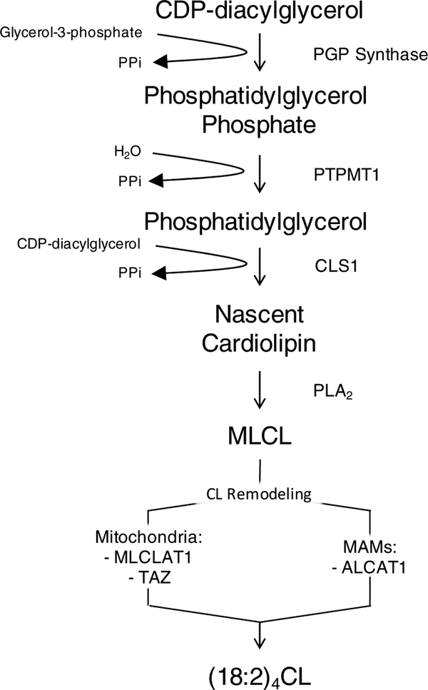 Figure 1: