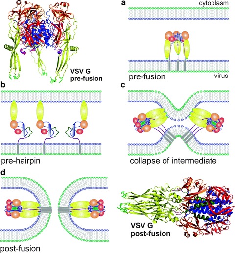 Fig. 16.4