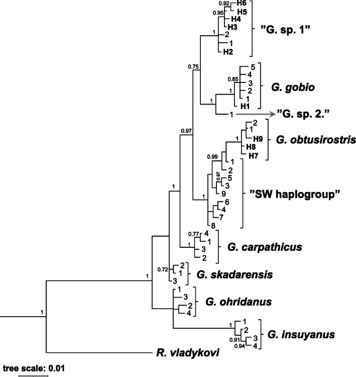 Fig. 2