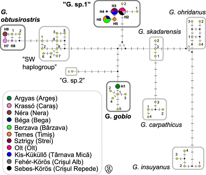 Fig. 3