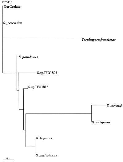 FIG. 1.