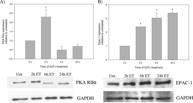 FIG. 8.