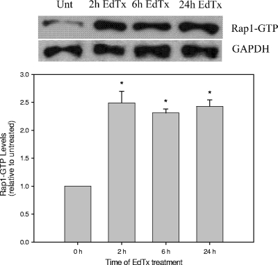 FIG. 10.