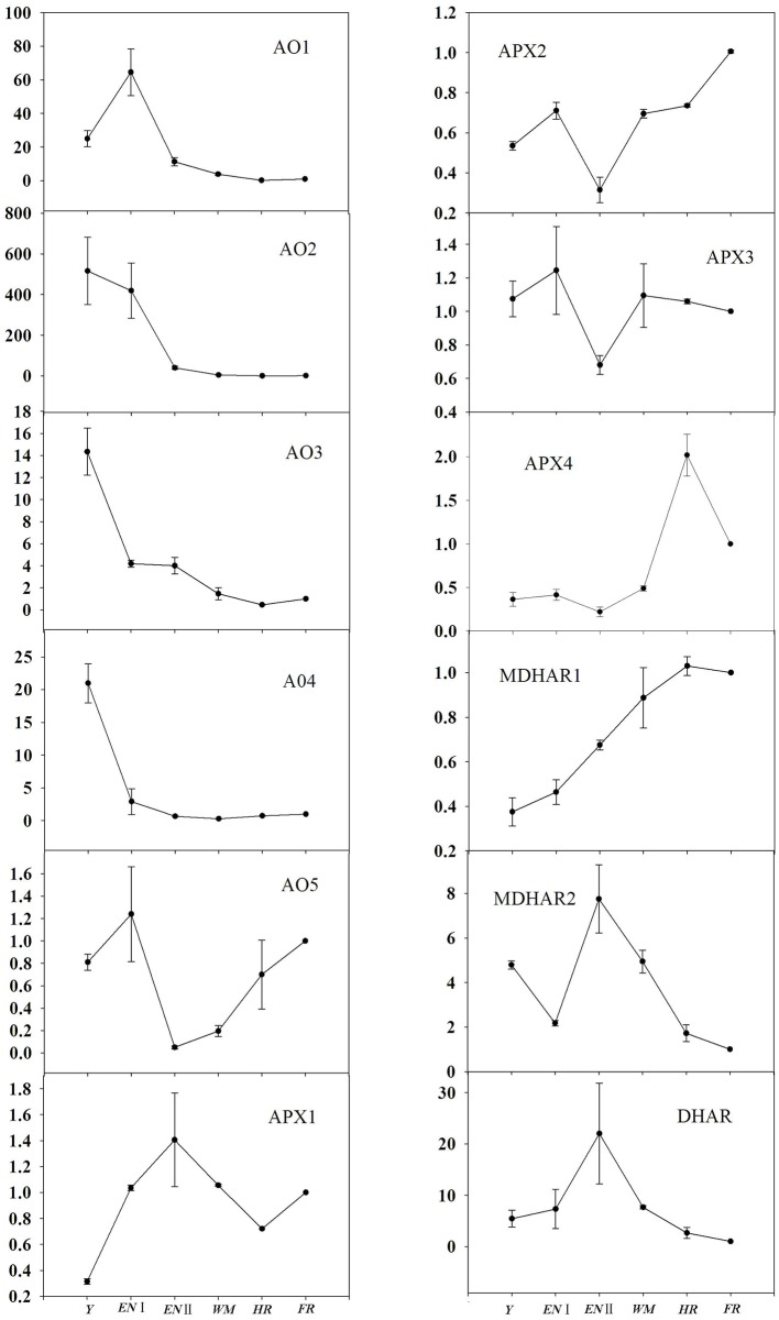 Figure 5