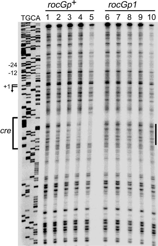 FIG. 3.