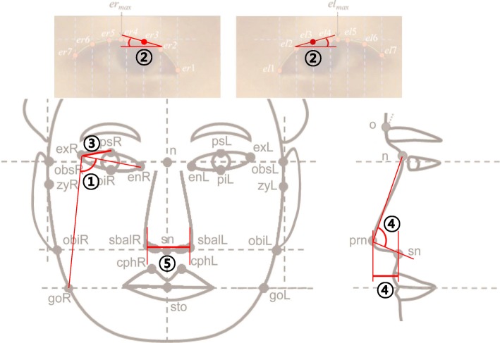 Fig. 3