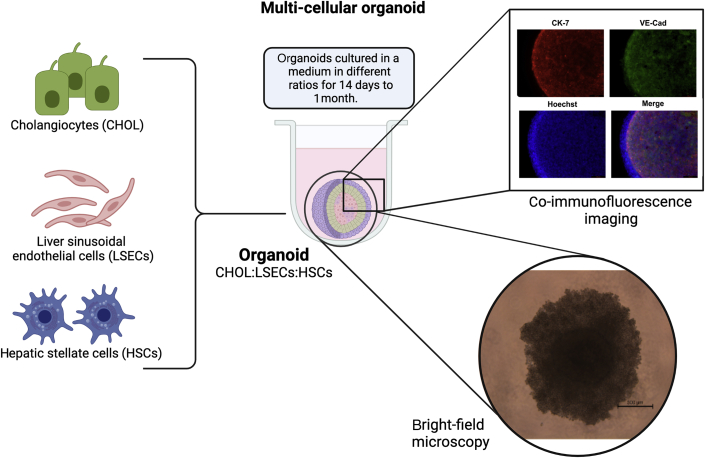 Figure 2