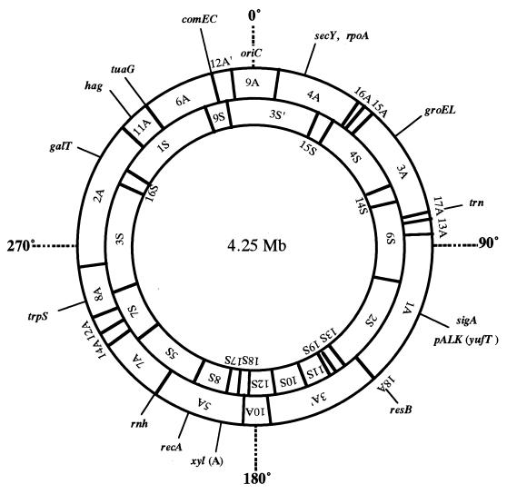 FIG. 4