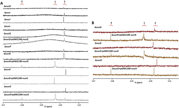 Figure 5