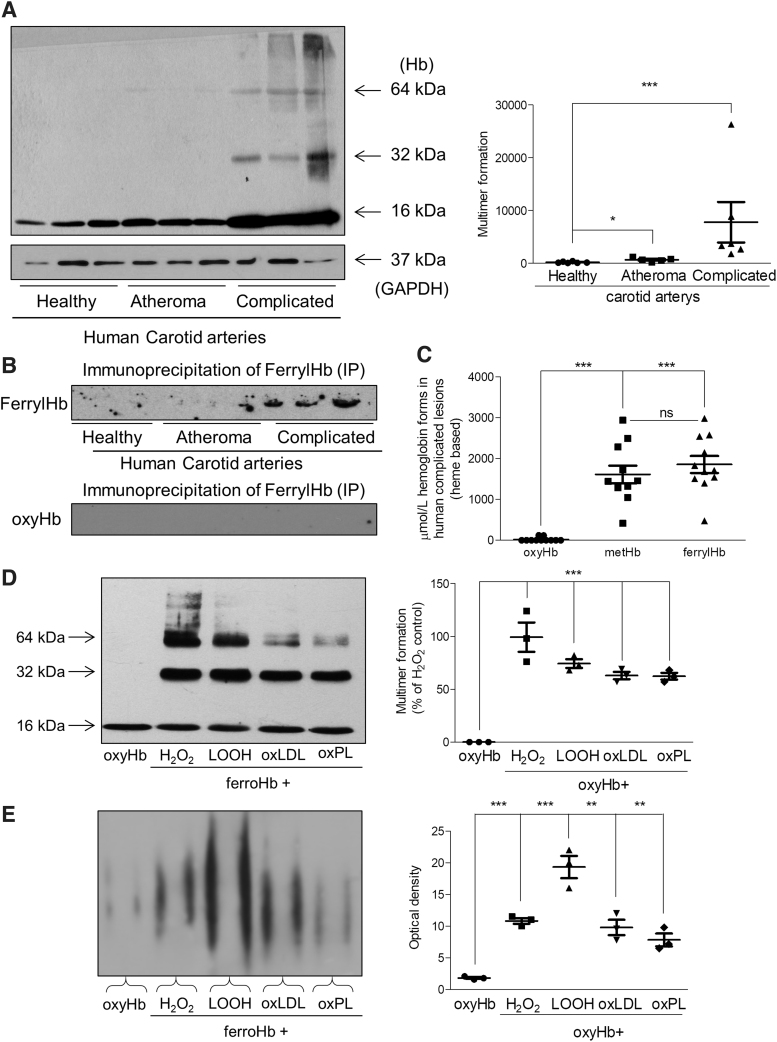 FIG. 4.