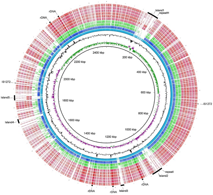 Fig 2