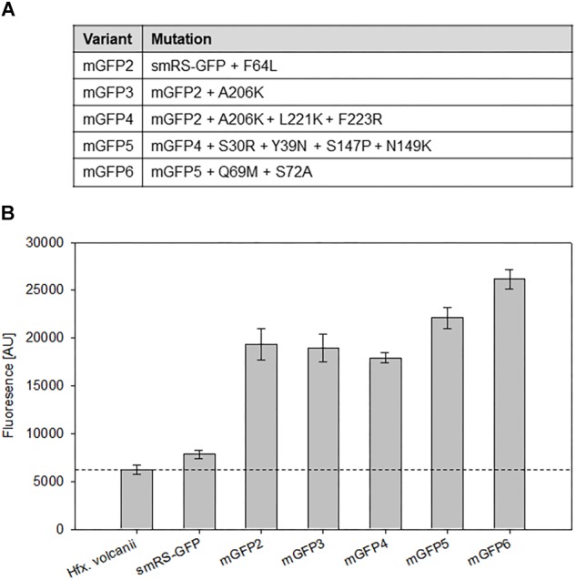 FIGURE 4