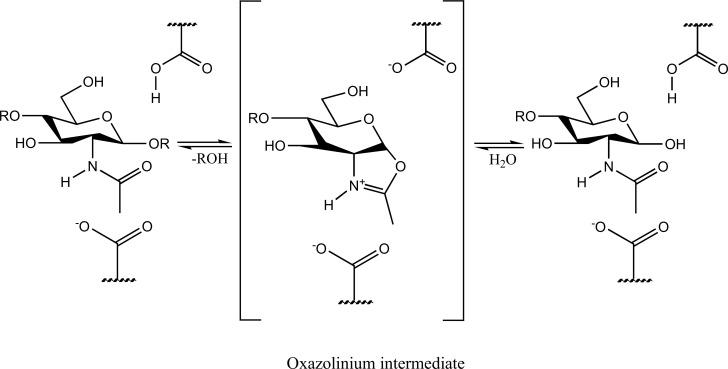 Fig. (1)